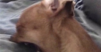 Books That Make Jack Go Crazy