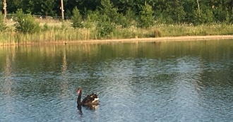 Interesting Rivers Worldwide