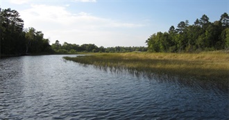 What Do These Have in Common?