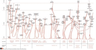 Famous Descendants: Louis XIV