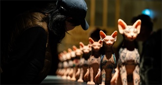 Back Lists Gem Wants to Read Through: Toni Morrison