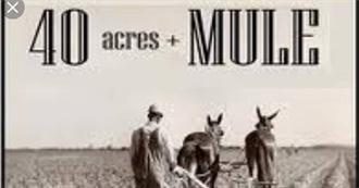 40 Acres and a Mule Films
