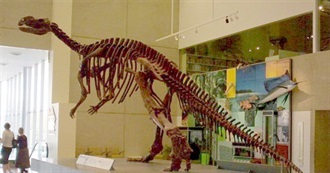 How Many of These Have You Been To?