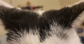 Jake&#39;s Top 100 Ablums