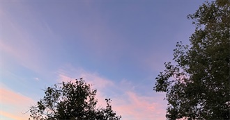 Claire&#39;s Top 100 Movies