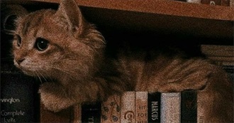 Series I&#39;ve Would Like to Read/Finish One Day