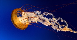 Movies Colette E Has Seen in the Last Few Years