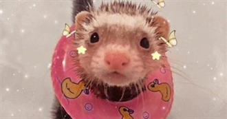 Games Apollo Has Played