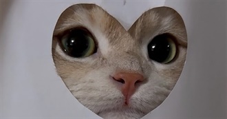 Werewolfs Top 100 Movies (Unless Forgor Some)