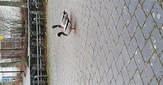 Sogis Top 25 Books of All Time