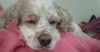 Movies Mary Has Seen PART 1