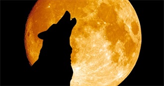 11 of the Best,Moon in Album Title