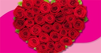 Valentine&#39;s Day Gifts