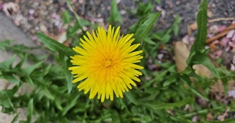 Heliager&#39;s Top 100 Movies?