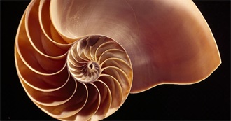 Liste De 50 Films Par Clem