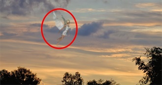 Femme-Objet&#39;s 100 Top Movies