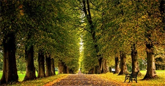 Late Summer, Early Fall