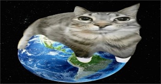 Moss&#39;s Top 50 Movies