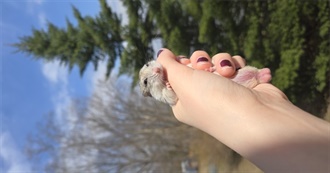 Erin&#39;s Top 100 Artists