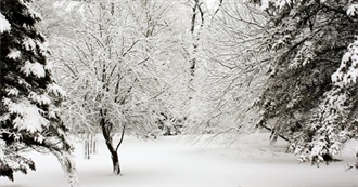 Every Movie Allyson Has Watched in December 2022