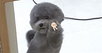 Julian&#39;s 100 Fave Albums!