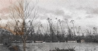 2000s: 200 Movies to See With Your Eyeballs