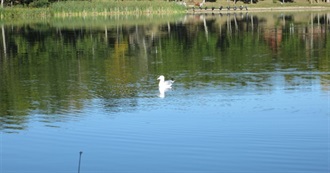 One Title From Each Author LB Has Read (Q, R &amp; S)