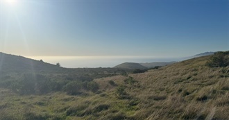 Ellie&#39;s Fav Albums