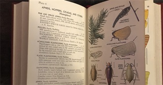 A-Book-Bug's Books of 2025