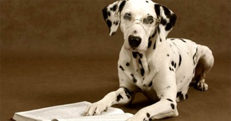 Recommended for Rachel