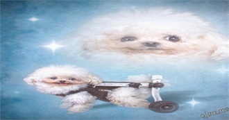 Eli&#39;s Fav Movies :)