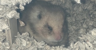 Jane&#39;s Top Books