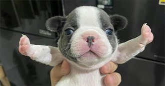 Fiona&#39;s Faves (Not Ranked)