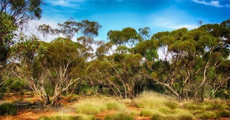 The Guardian: Top 10 Books About the Australian Bush