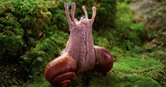 Documentaries to Reaffirm Your Faith in Humanity and the Universe as a Whole