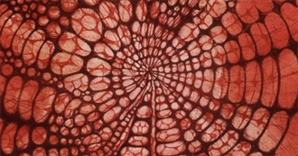 Homicidal Urges Music