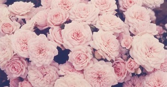 Alessia&#39;s Bookshelf!