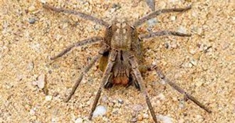 SUPER Dangerous Places That You SHOULD NEVER GO TO