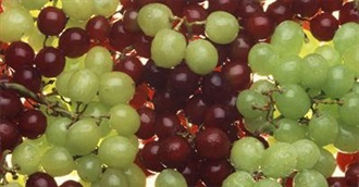 Food Beginning With the Letter G