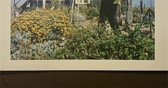 50 Books Gem Has Read That Start With C