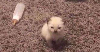 Good Soungs N Albums