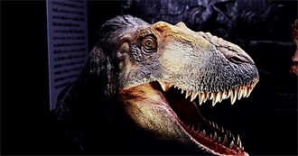 24 Movies With an Animal in the Title Part 4