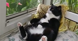 Jane&#39;s First Half of 2025