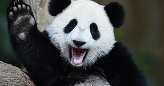 Ana&#39;s Travel Challenge in China