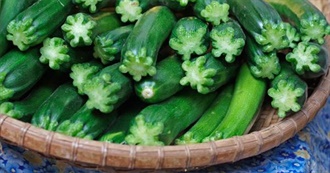 Zucchini Bumper Crop