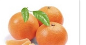 Food and More Food and More Food!