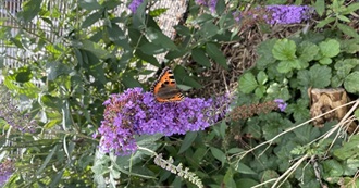 A Short Books List to Complete Your 2025 Reading Goals 📖