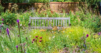 The Secret Garden Vocabulary Words~~2