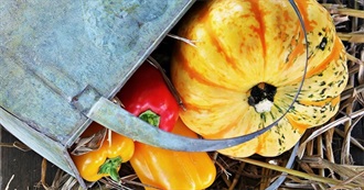 Low to Medium Carb Vegetables