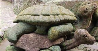 Jiji&#39;s Boyfriend Comes to Her Hometown!